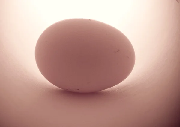 Eggseggs na tmavém pozadí v různých úhlů — Stock fotografie