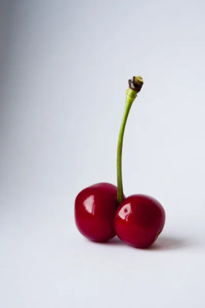 Cherry and spine on a white background — Stock Photo, Image