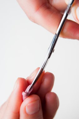 El yapımı kağıt çiçekler ve üretim