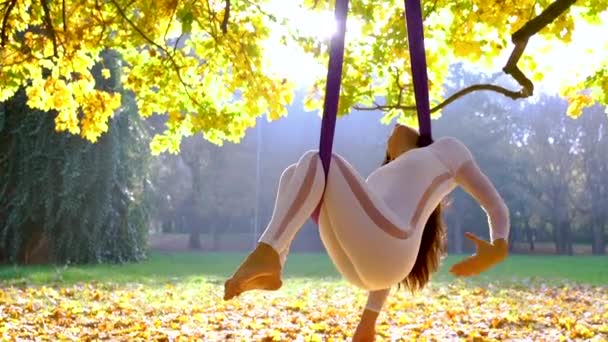Hermosa Mujer Joven Atlética Haciendo Yoga Aéreo Hamaca Naturaleza Ejercicios — Vídeos de Stock