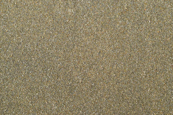 Background Wet Sand Sea Sand Shell — Stock Photo, Image