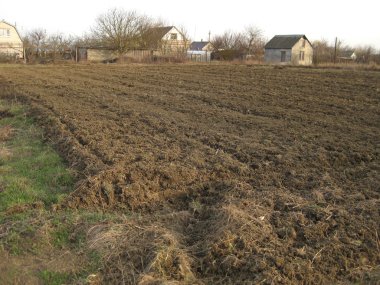 Disk harrow pulluk Bahçe. Özel iç saha. Toprak için bakım. Ekim hazırlığı.