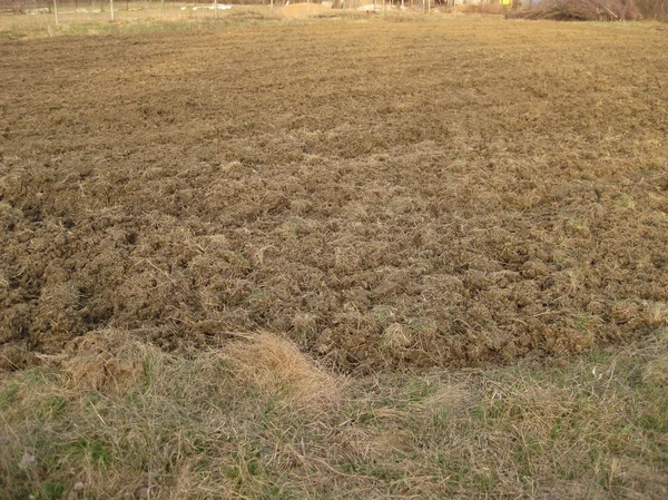 Disk Harrow Pulluk Bahçe Özel Saha Toprak Için Bakım Ekim — Stok fotoğraf