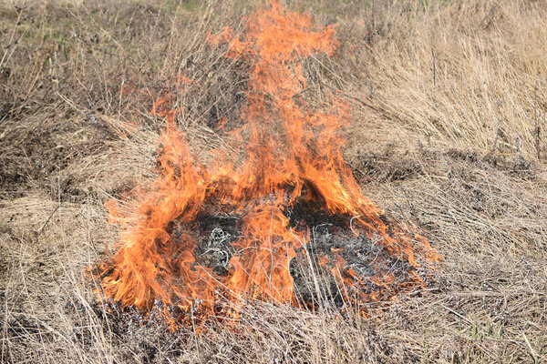 Burning dry grass and reeds. Cleaning the fields and ditches of the thickets of dry grass.