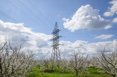 Çiçekli Erik Bahçe iletim kulesi