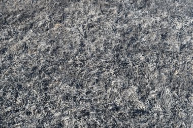 Yanmış otların küllerinden arkaplan. Yangın çıktıktan sonra tarlaya kül ekin..