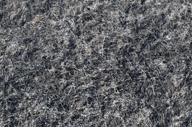 Yanmış otların küllerinden arkaplan. Yangın çıktıktan sonra tarlaya kül ekin..