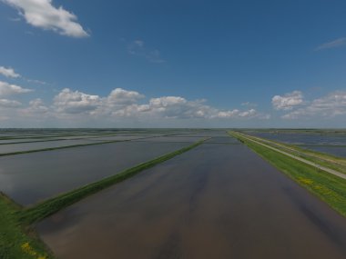 Sular altında pirinç paddies. Alanları pirinç büyüyen agronomik yöntemleri. 