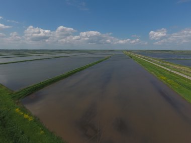 Sular altında pirinç paddies. Alanları pirinç büyüyen agronomik yöntemleri. 