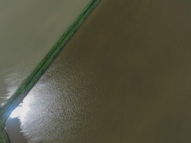 Sular altında pirinç paddies. Alanları pirinç büyüyen agronomik yöntemleri. 