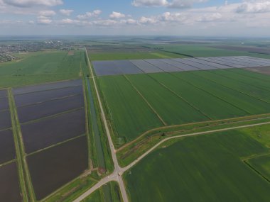 Sular altında pirinç paddies. Alanları pirinç büyüyen agronomik yöntemleri. 