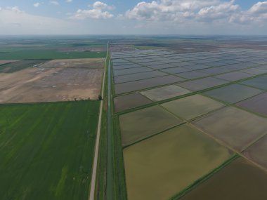 Sular altında pirinç paddies. Alanları pirinç büyüyen agronomik yöntemleri. 