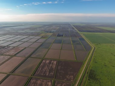 Sular altında pirinç paddies. Alanları pirinç büyüyen agronomik yöntemleri. 