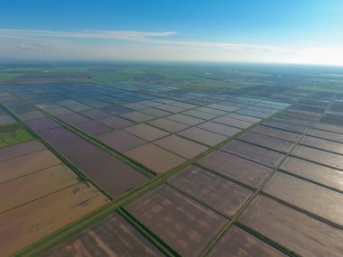 Sular altında pirinç paddies. Alanları pirinç büyüyen agronomik yöntemleri. 