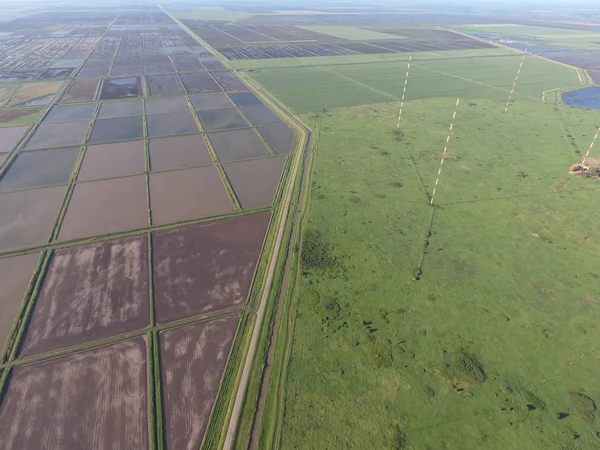 Mástiles antenas de onda larga comunicación entre los campos de arroz inundados — Foto de Stock