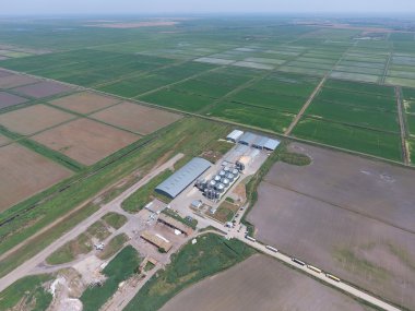 Kurutma ve depolama tahıl için bitki. Pirinç bitki alanları ortasında. Üstten görünüm.