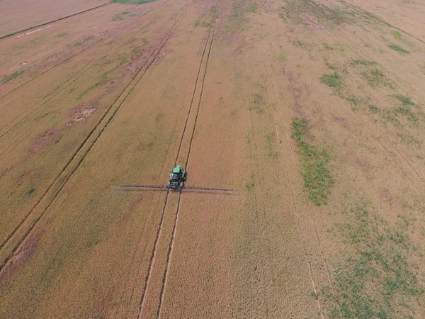 Añadiendo Tractor Herbicida Campo Trigo Maduro Cultivos Los Campos Vista — Foto de Stock