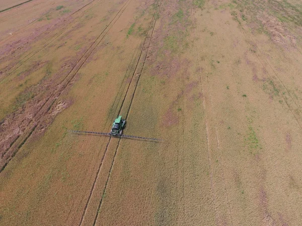 Añadiendo Tractor Herbicida Campo Trigo Maduro Cultivos Los Campos Vista — Foto de Stock