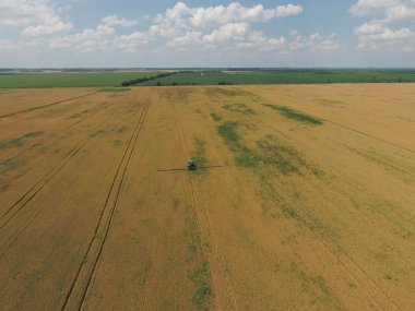 Herbisit traktör olgun buğday alanı üzerinde ekleme. Alanlarda büyüyen bitkileri. Yukarıdan görüntülemek.