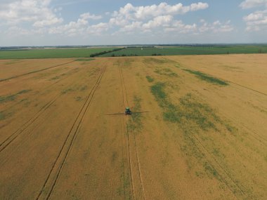 Herbisit traktör olgun buğday alanı üzerinde ekleme. Alanlarda büyüyen bitkileri. Yukarıdan görüntülemek.