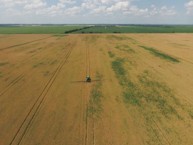 Herbisit traktör olgun buğday alanı üzerinde ekleme. Alanlarda büyüyen bitkileri. Yukarıdan görüntülemek.