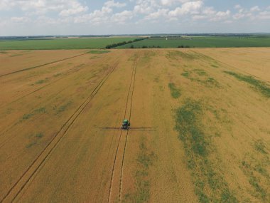 Herbisit traktör olgun buğday alanı üzerinde ekleme. Alanlarda büyüyen bitkileri. Yukarıdan görüntülemek.