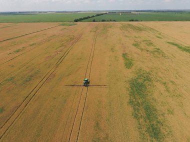 Herbisit traktör olgun buğday alanı üzerinde ekleme. Yukarıdan görüntülemek.