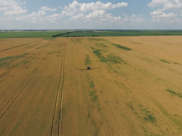 加上成熟的麦田除草剂拖拉机 在田里的庄稼 从上面查看 — 图库照片