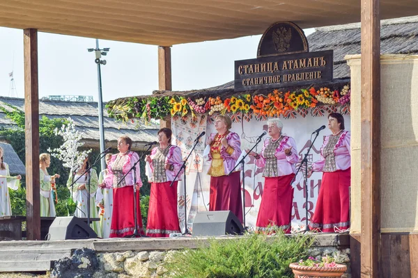 Rusland Ataman September 2015 Folkzanger Tijdens Een Concert Kozakken Dorp — Stockfoto