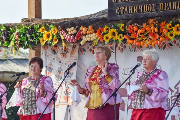 Russie Ataman Septembre 2015 Chanteur Folklorique Lors Concert Dans Village — Photo