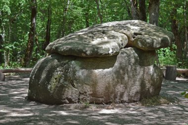 Büyük Shapsug dolmen. Kuban ormanda bir megalytic yapımı.