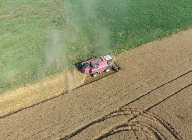Temizlik buğday hasat. Üstten Görünüm.
