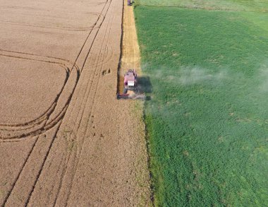 Temizlik buğday hasat. Üstten Görünüm.