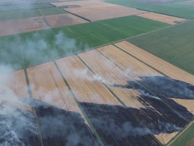 Yanan saman buğday hasat sonra alanları. Dumanlı atmosfer kirliliği.