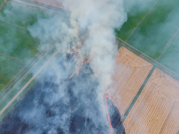 Yanan saman buğday hasat sonra alanları. Dumanlı atmosfer kirliliği.