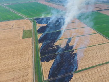 Yanan saman buğday hasat sonra alanları. Dumanlı atmosfer kirliliği.