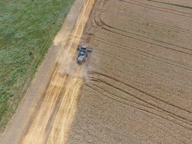 Buğday hasat hasat. Operasyonda Tarım makineleri.