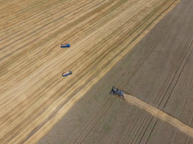 Buğday hasat hasat. Operasyonda Tarım makineleri.