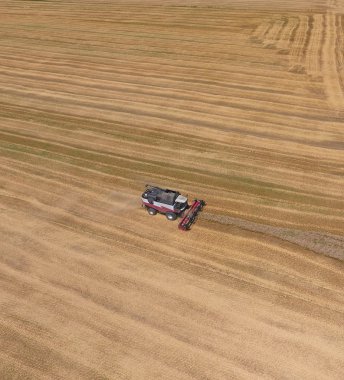 Buğday hasat hasat. Operasyonda Tarım makineleri.