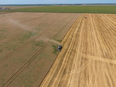 υψηλής ανάλυσης απόδοσης μιας πυξίδας με ένα εικονίδιο του πελάτη