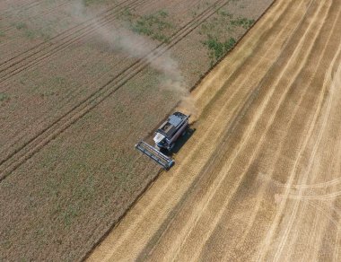 υψηλής ανάλυσης απόδοσης μιας πυξίδας με ένα εικονίδιο του πελάτη