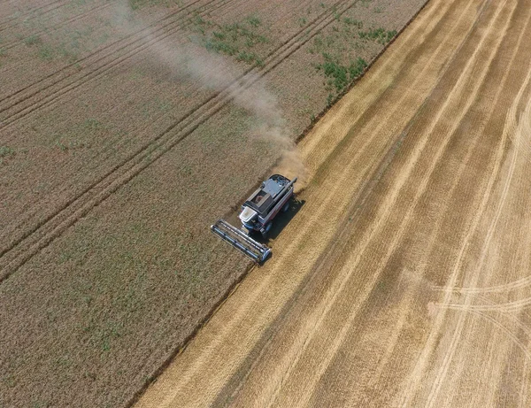 υψηλής ανάλυσης απόδοσης μιας πυξίδας με ένα εικονίδιο του πελάτη