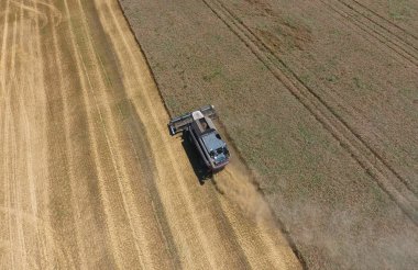 υψηλής ανάλυσης απόδοσης μιας πυξίδας με ένα εικονίδιο του πελάτη