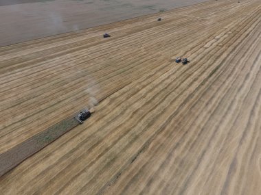 υψηλής ανάλυσης απόδοσης μιας πυξίδας με ένα εικονίδιο του πελάτη