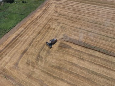 υψηλής ανάλυσης απόδοσης μιας πυξίδας με ένα εικονίδιο του πελάτη