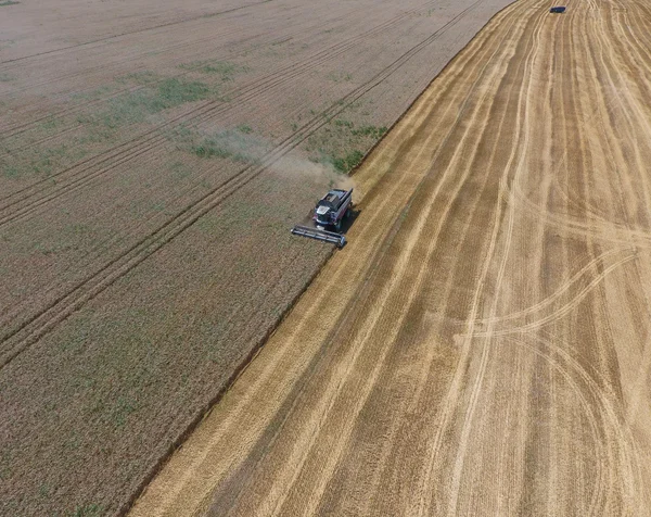 υψηλής ανάλυσης απόδοσης μιας πυξίδας με ένα εικονίδιο του πελάτη