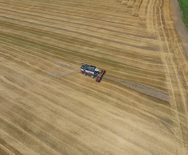 υψηλής ανάλυσης απόδοσης μιας πυξίδας με ένα εικονίδιο του πελάτη