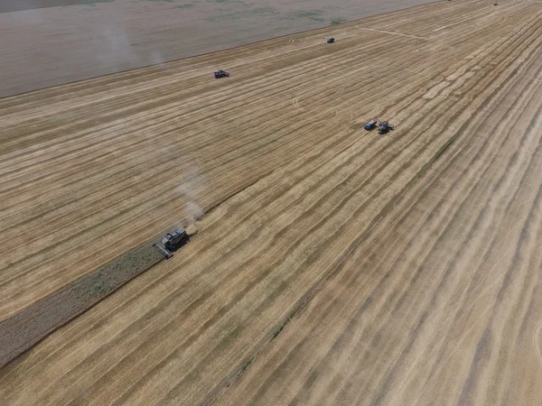 υψηλής ανάλυσης απόδοσης μιας πυξίδας με ένα εικονίδιο του πελάτη