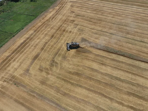 υψηλής ανάλυσης απόδοσης μιας πυξίδας με ένα εικονίδιο του πελάτη