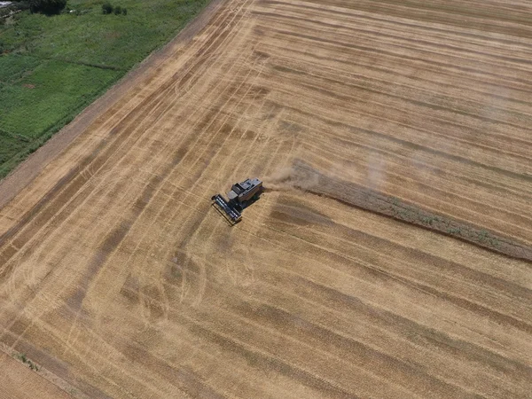 υψηλής ανάλυσης απόδοσης μιας πυξίδας με ένα εικονίδιο του πελάτη